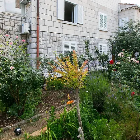 Vendégház Yellow